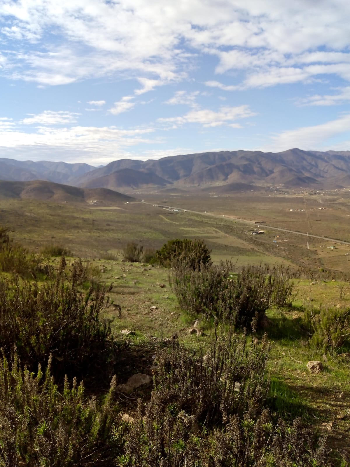 Vegetación y cerros de Cuesta El Manzano bajo un cielo con nubes